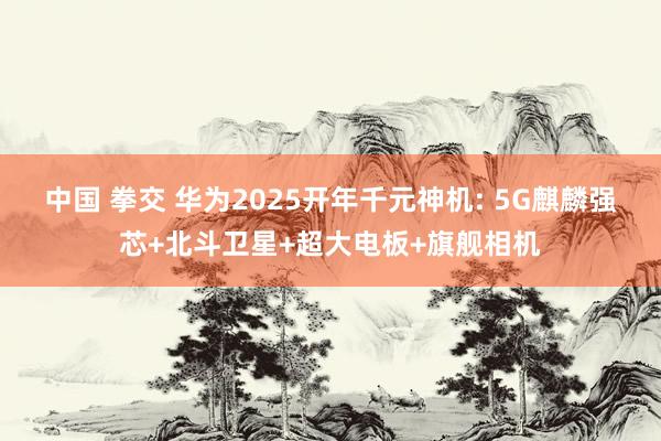 中国 拳交 华为2025开年千元神机: 5G麒麟强芯+北斗卫星+超大电板+旗舰相机