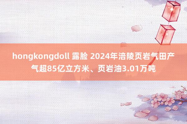 hongkongdoll 露脸 2024年涪陵页岩气田产气超85亿立方米、页岩油3.01万吨