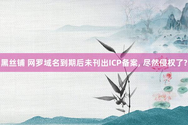 黑丝铺 网罗域名到期后未刊出ICP备案， 尽然侵权了?