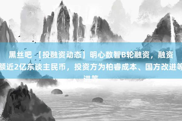 黑丝吧 【投融资动态】明心数智B轮融资，融资额近2亿东谈主民币，投资方为柏睿成本、国方改进等