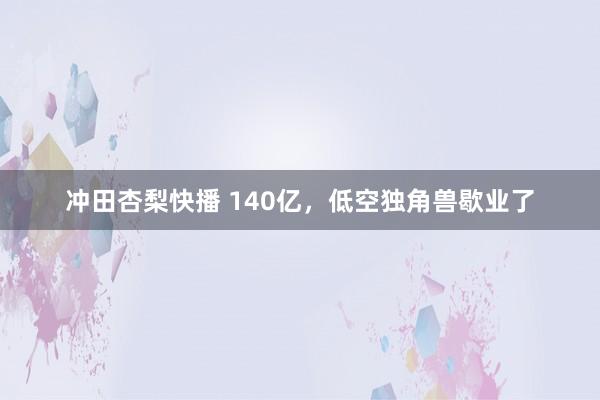 冲田杏梨快播 140亿，低空独角兽歇业了