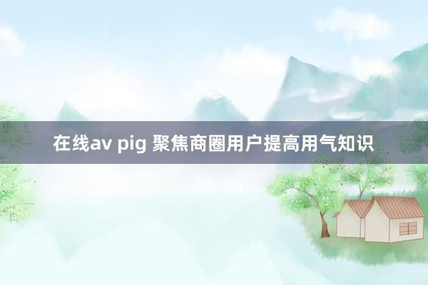 在线av pig 聚焦商圈用户提高用气知识