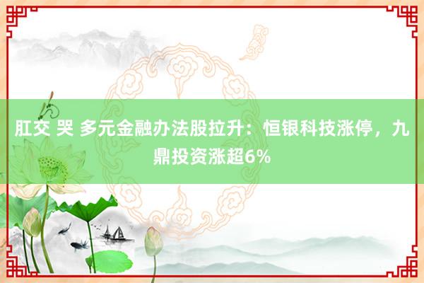 肛交 哭 多元金融办法股拉升：恒银科技涨停，九鼎投资涨超6%