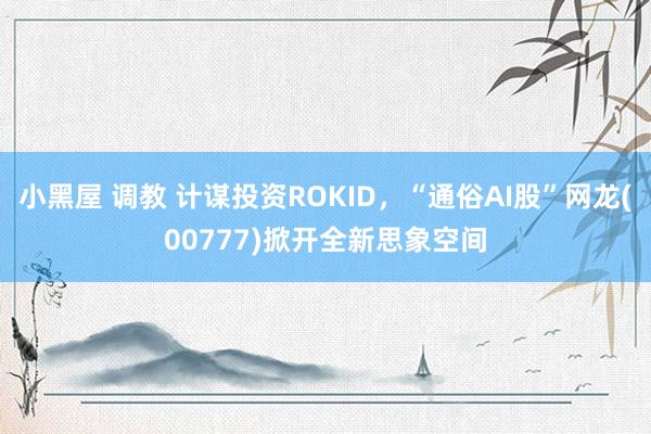 小黑屋 调教 计谋投资ROKID，“通俗AI股”网龙(00777)掀开全新思象空间