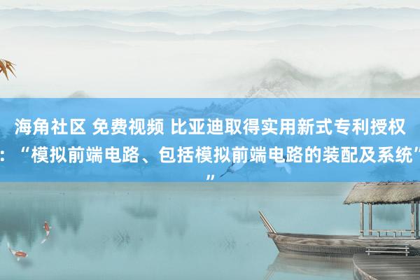 海角社区 免费视频 比亚迪取得实用新式专利授权：“模拟前端电路、包括模拟前端电路的装配及系统”