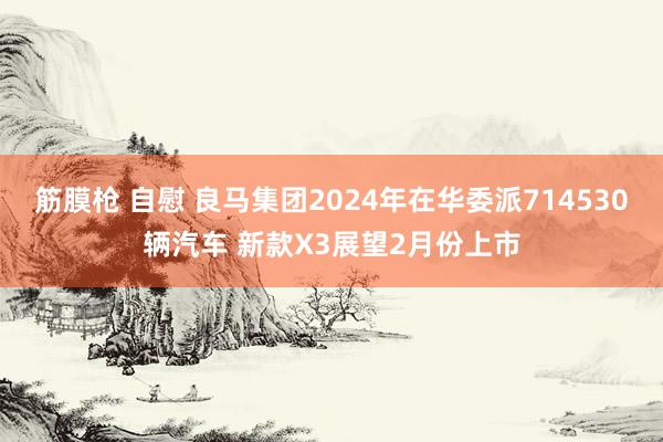 筋膜枪 自慰 良马集团2024年在华委派714530辆汽车 新款X3展望2月份上市