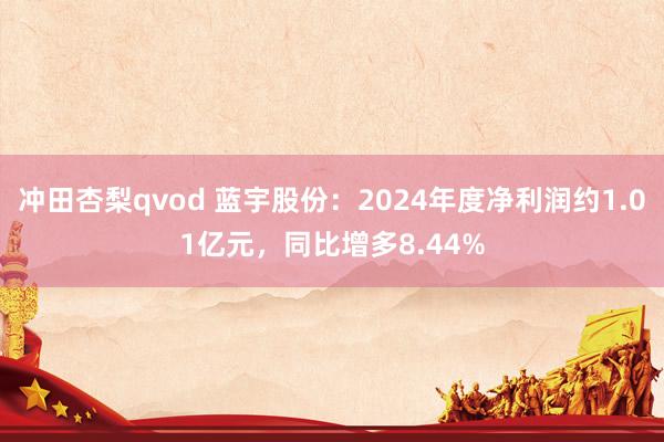 冲田杏梨qvod 蓝宇股份：2024年度净利润约1.01亿元，同比增多8.44%