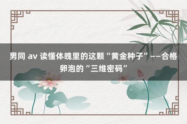 男同 av 读懂体魄里的这颗“黄金种子”——合格卵泡的“三维密码”